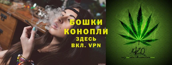 мескалин Богданович