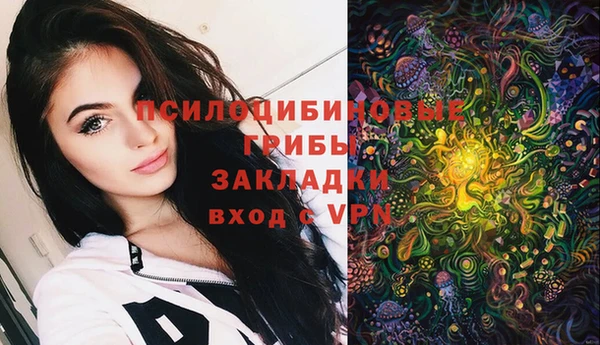 мескалин Богданович